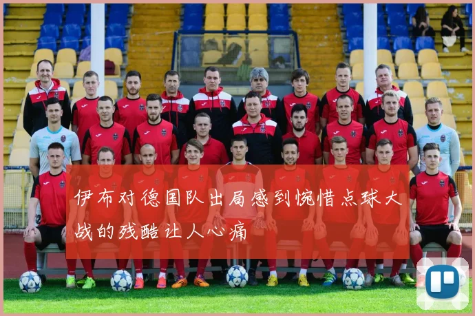 伊布对德国队出局感到惋惜点球大战的残酷让人心痛